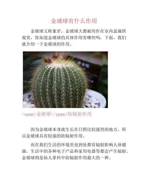 金琥球有什么作用