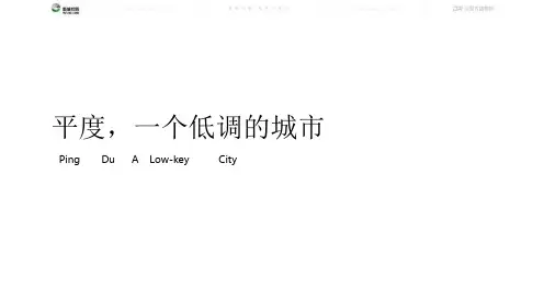 房地产品牌-青岛北新城悦隽大都会推广提报策划方案