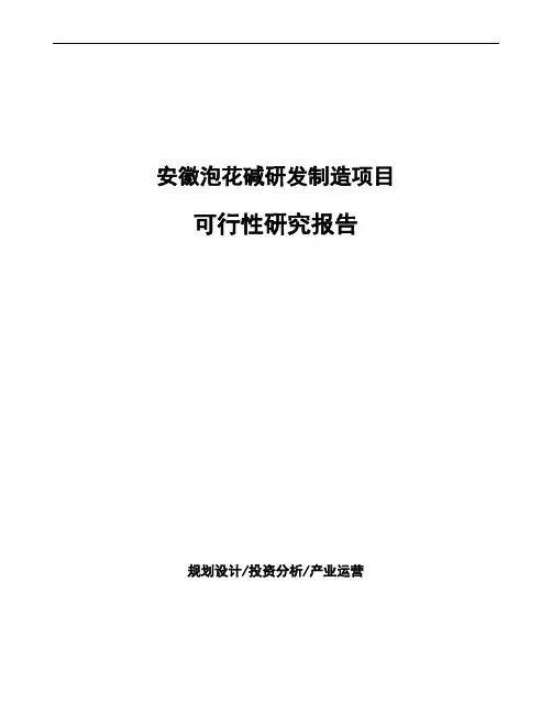 安徽泡花碱研发制造项目可行性研究报告