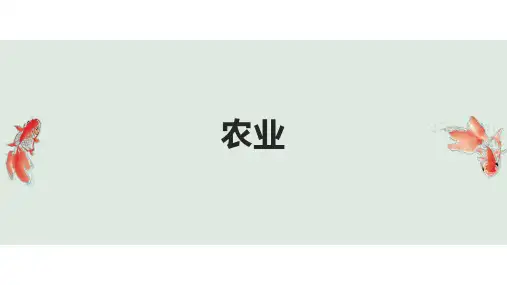 微专题22农业(高三地理二轮复习)