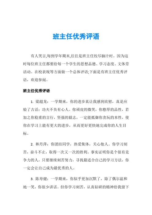 班主任优秀评语 2