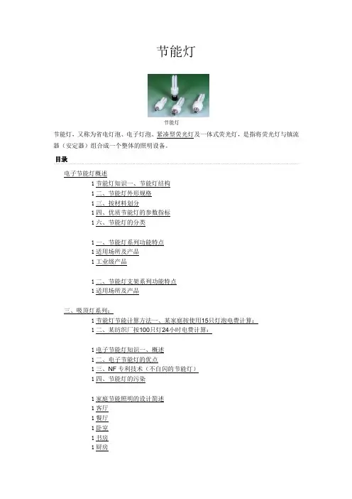节能灯说明