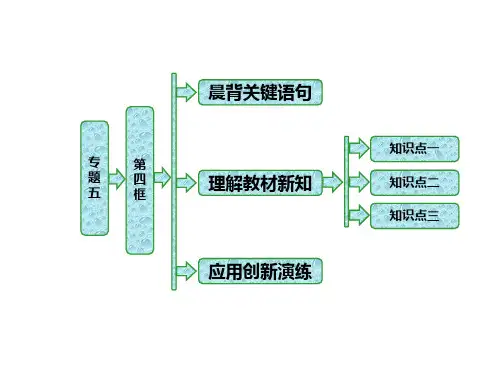 2019高中政治人教版选修3课件:专题五 第四框 亚太经济合作组织:区域经济合作的新形式