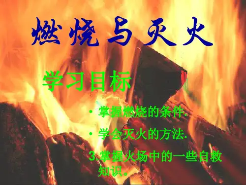 初中化学九上  3.3  燃烧条件与灭火原理  课件 _2