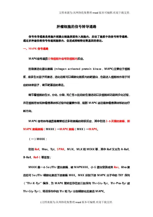 肿瘤细胞信号转导通路