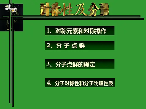 点群