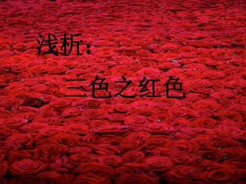 红白蓝三部曲之红色共23页文档