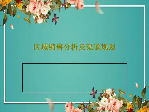 区域销售分析及渠道规划共58页