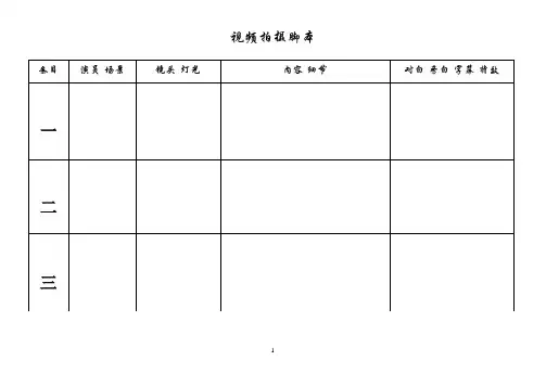 视频拍摄脚本模版