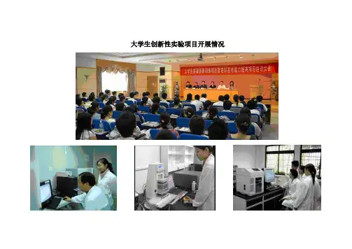 大学生创新性实验项目开展情况
