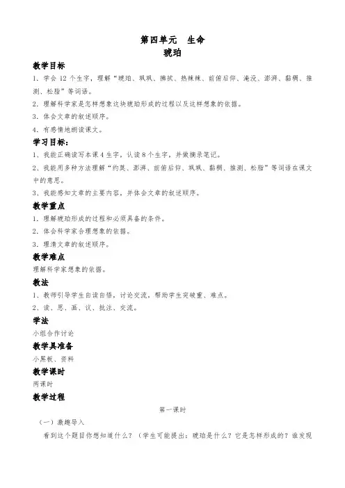琥珀  教案