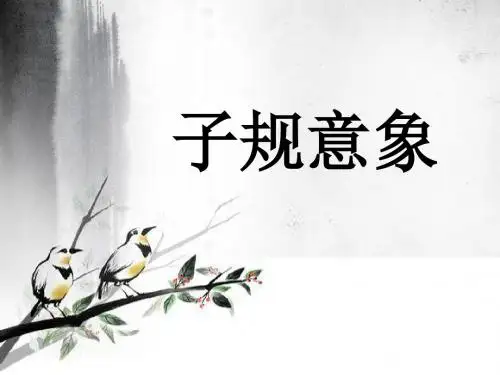 子规刘畅