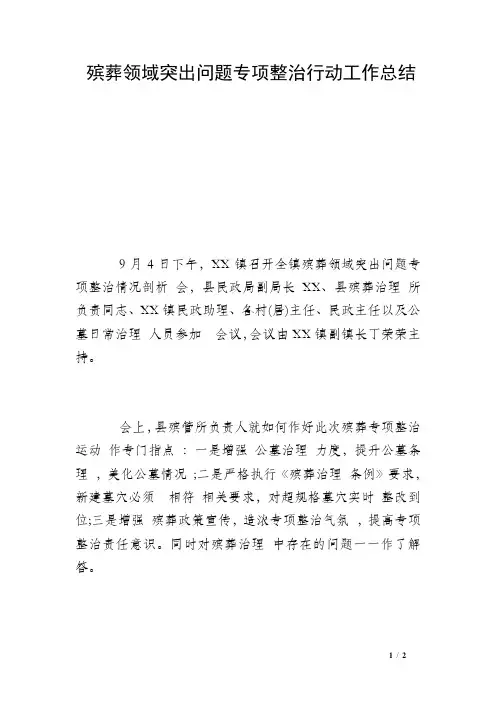 殡葬领域突出问题专项整治行动工作总结 