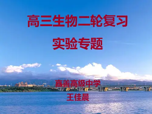 生物实验结果的表达