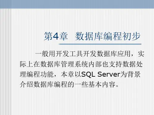 第4章 数据库编程初步.ppt