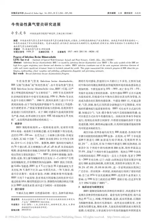 牛传染性鼻气管炎研究进展_冷雪