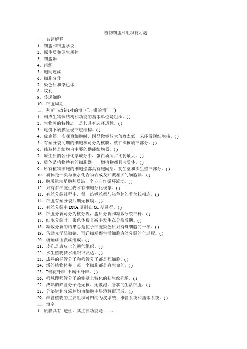 植物细胞和组织复习题