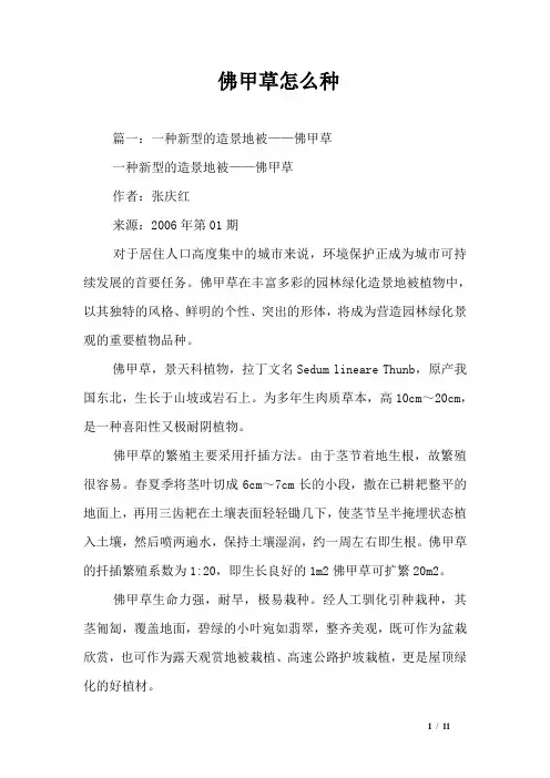 佛甲草怎么种
