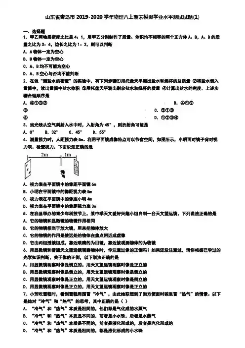 山东省青岛市2019-2020学年物理八上期末模拟学业水平测试试题(1)
