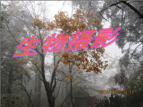 1-1生物摄影绪论