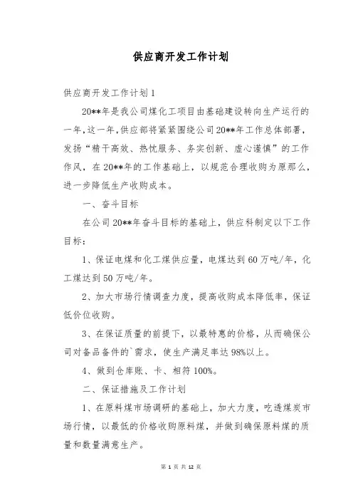 供应商开发工作计划 2