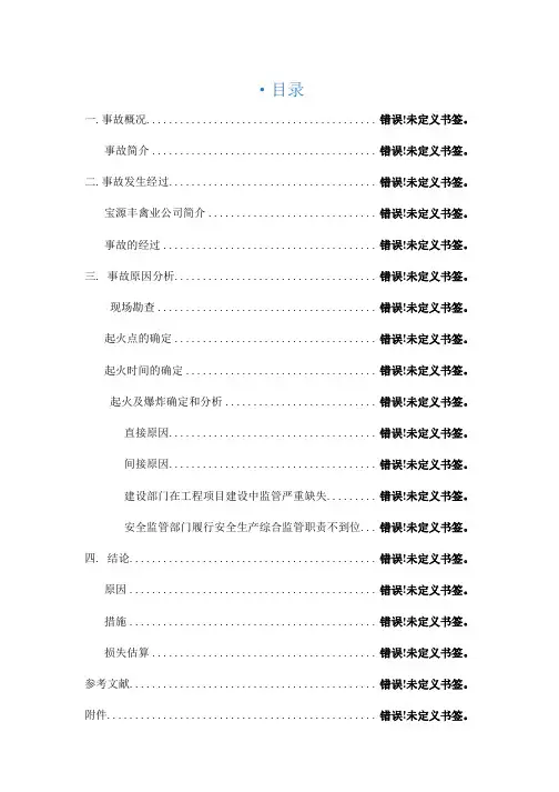 宝源丰事故调查报告