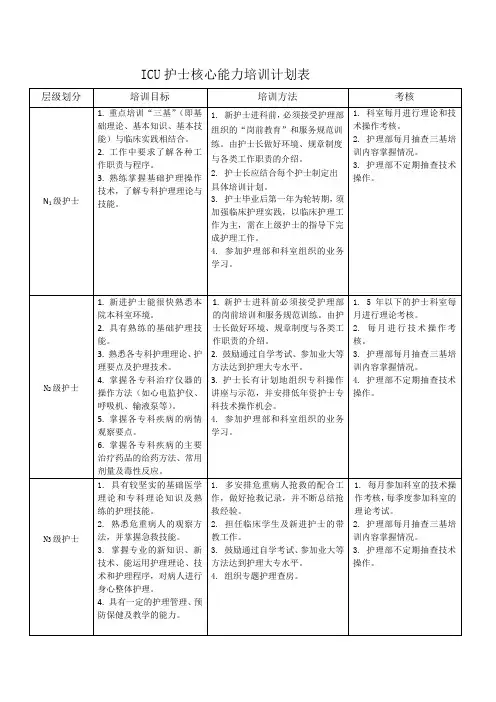 护士分层级培训计划表