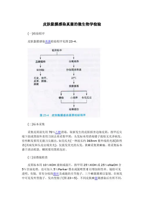 皮肤黏膜感染真菌的微生物学检验