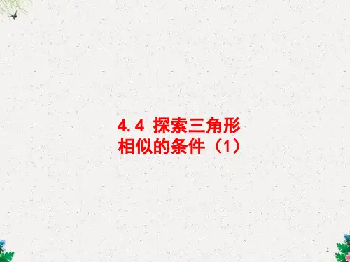 北师大版九年级数学上册第4章教学课件：4.4探索三角形相似的条件