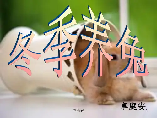 西南大学“75”兔业冬季养兔