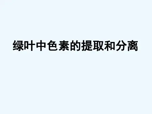 实验光合色素的提取与分离