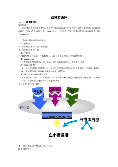 抗凝药课件