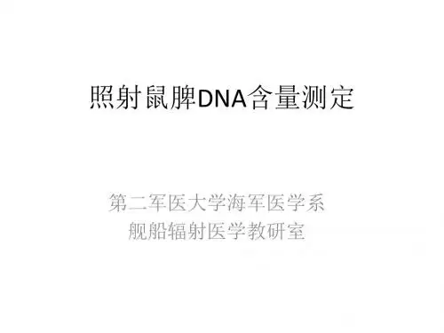 照射鼠脾DNA含量测定