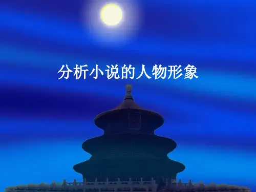 分析小说的人物形象