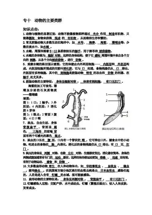 专十  动物的主要类群Microsoft Word 文档 (3)