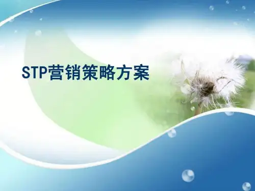 STP营销策略方案_图文.ppt