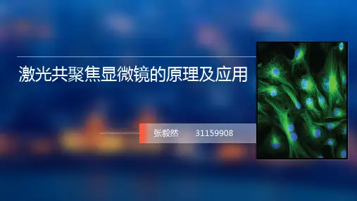 扫描共聚焦显微镜原理及应用.
