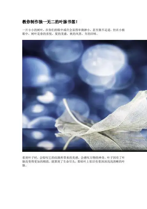 教你制作独一无二的叶脉书签