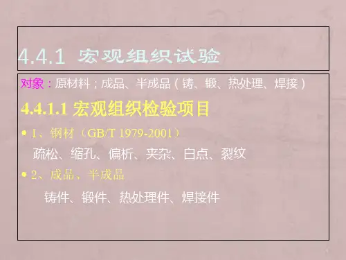金相组织试验与分析
