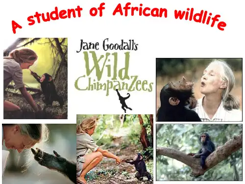 人教版模块四unit1Jane_Goodall_reading