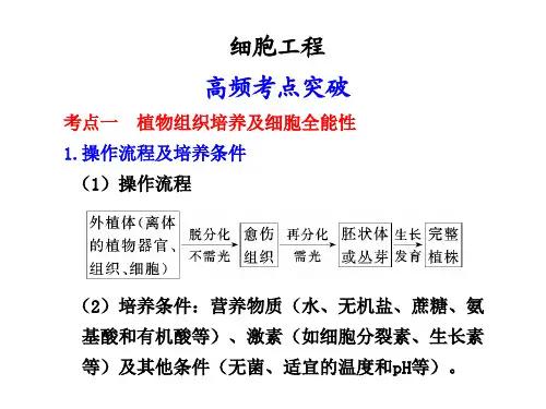 细胞工程课件