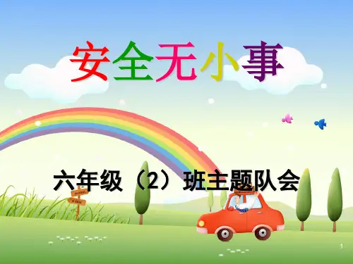 (精选班会)《安全无小事》主题班会
