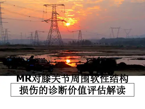 最新MR对膝关节周围软性结构损伤的诊断价值评估解读教学讲义PPT