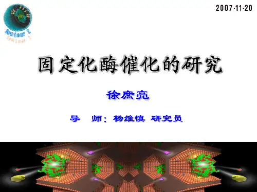 固定化酶催化的研究
