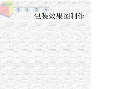 包装效果图制作