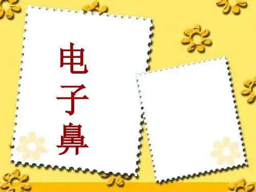 电子鼻-PPT精品文档