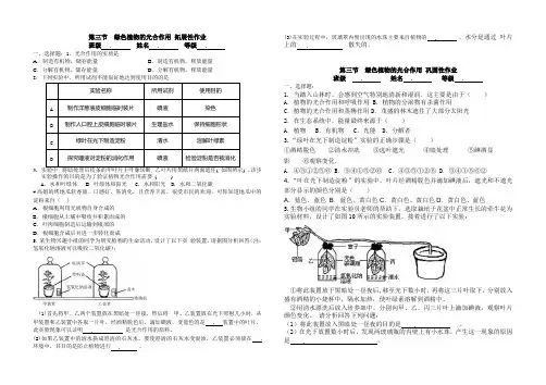 光合作用作业 Microsoft Word 文档
