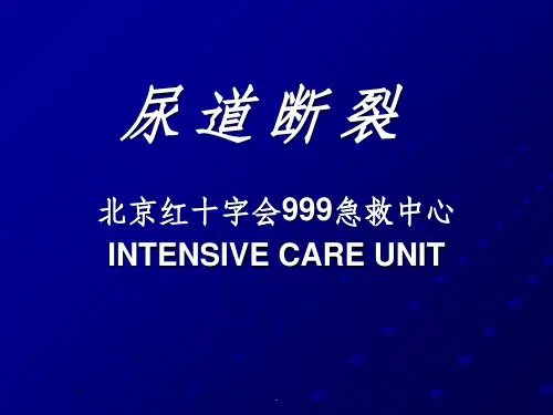 尿道断裂ppt课件