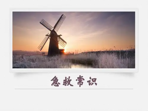 急救常识培训  ppt课件