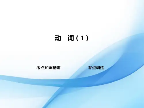 中考英语复习--动词专题PPT课件